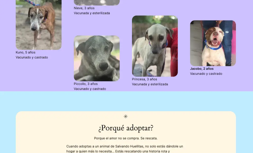 captura de pantalla 2025 08 22 a la(s) 5.27.43 p.m.